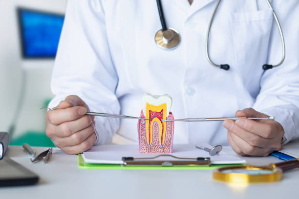 Professional Emergency Dental Service in OK